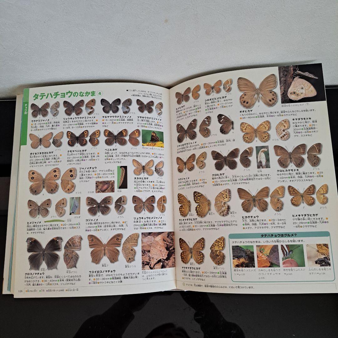 小学舘の図鑑NEO 17冊セット プレNEO2冊入り 幼児～小学生