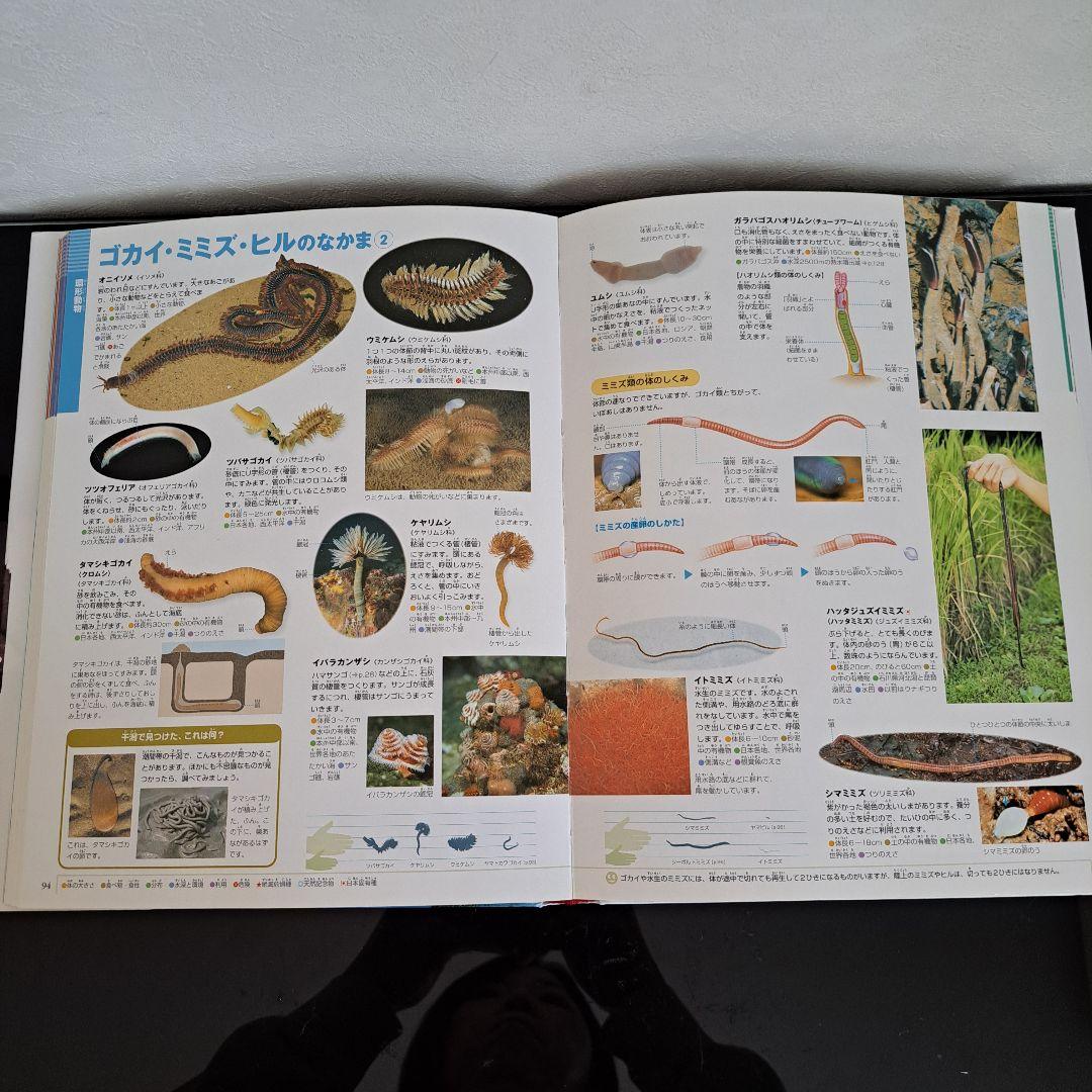 小学舘の図鑑NEO 17冊セット プレNEO2冊入り 幼児～小学生