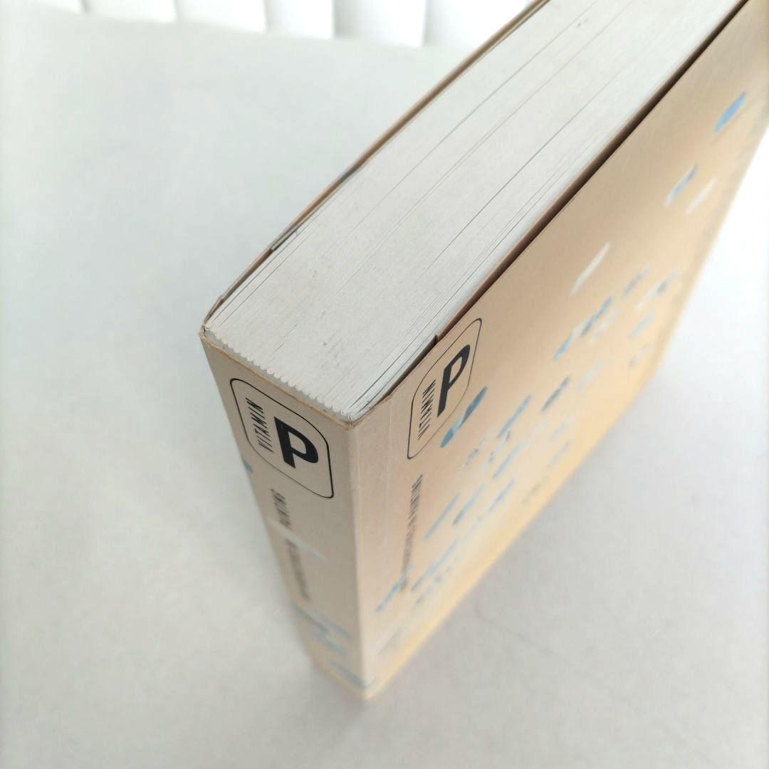 アート・デザイン・音楽 Vitamin P:NEW PERSPECTIVES IN PAINTING