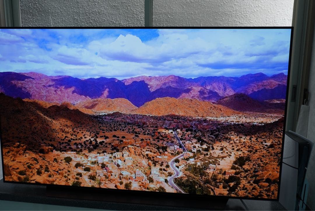 LG OLED65CXPJA 65インチ 有機ELテレビ