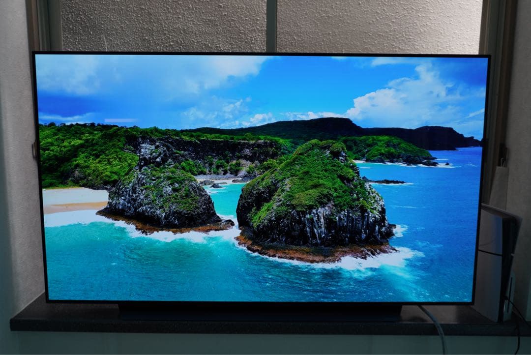 LG OLED65CXPJA 65インチ 有機ELテレビ