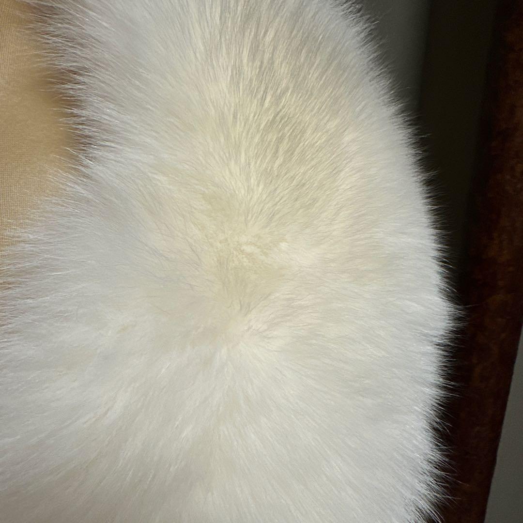 Haruta　成人式　ショール　SAGA FURS 毛量多い