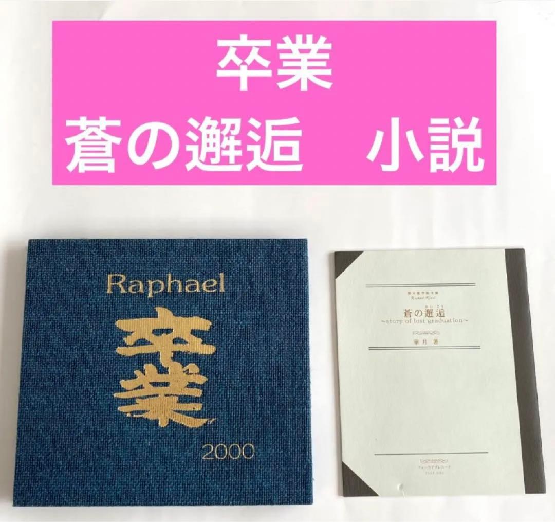 ラファエル ヴィジュアル系 CD13枚 ポスター3枚