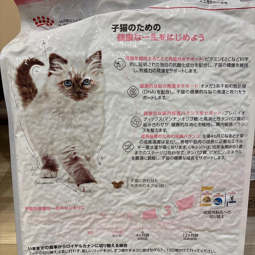  CANIN 子猫用成長後期 ドライフード 10kg