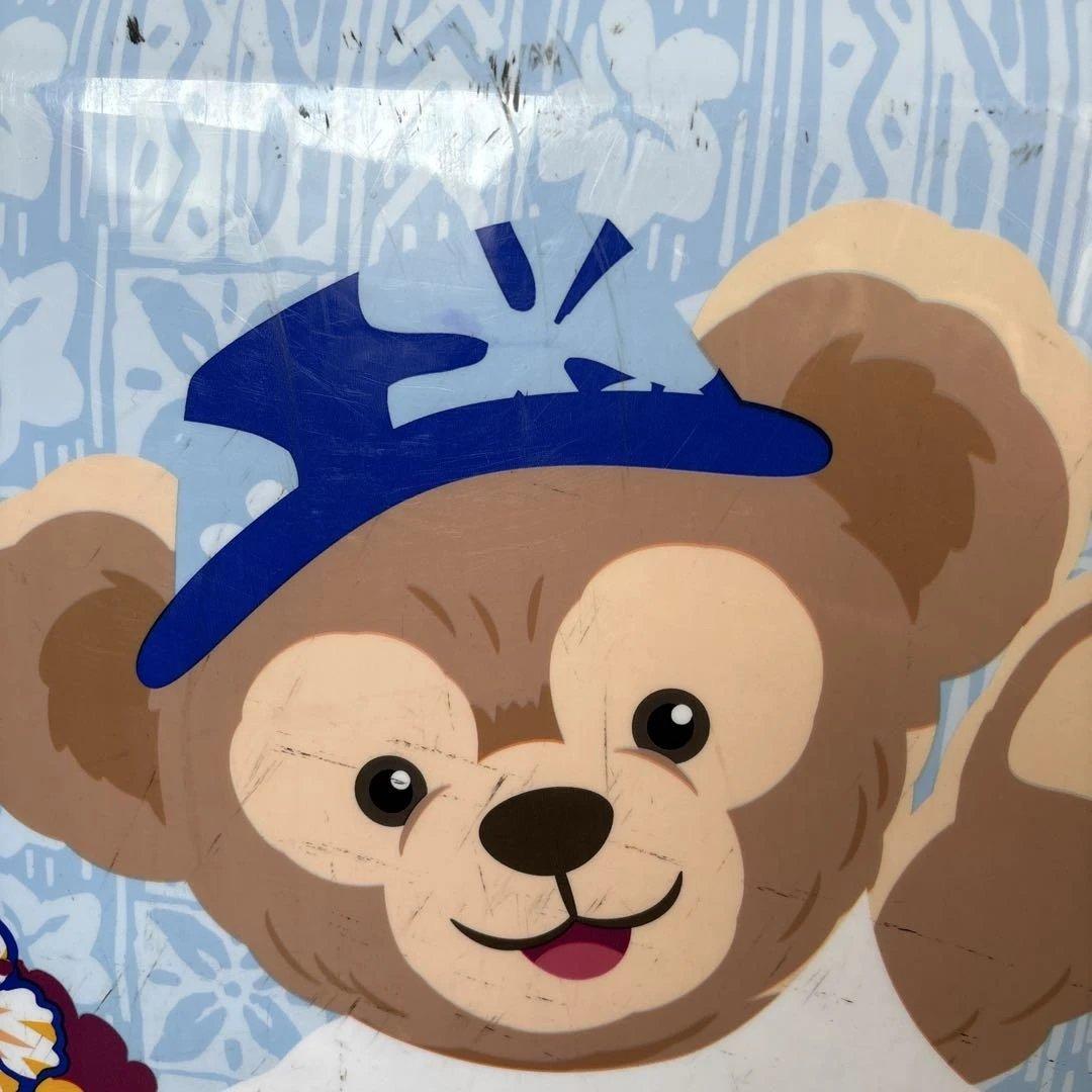 ダッフィー、ミッキーアウラニキャリーケース