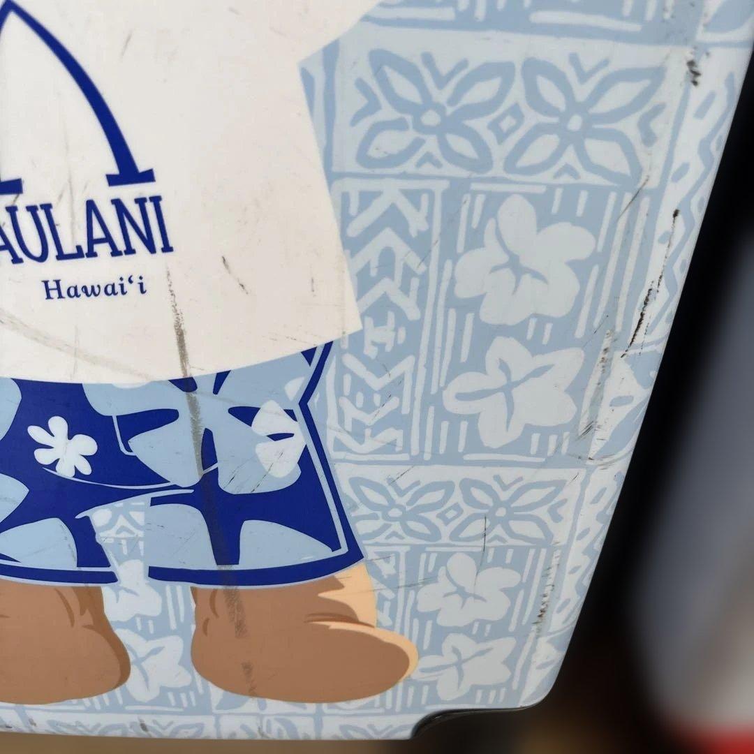 ダッフィー、ミッキーアウラニキャリーケース