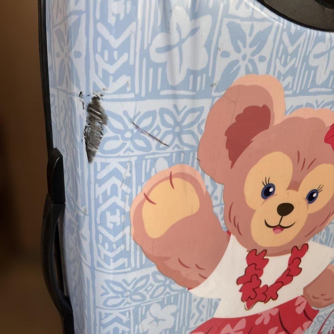 ダッフィー、ミッキーアウラニキャリーケース