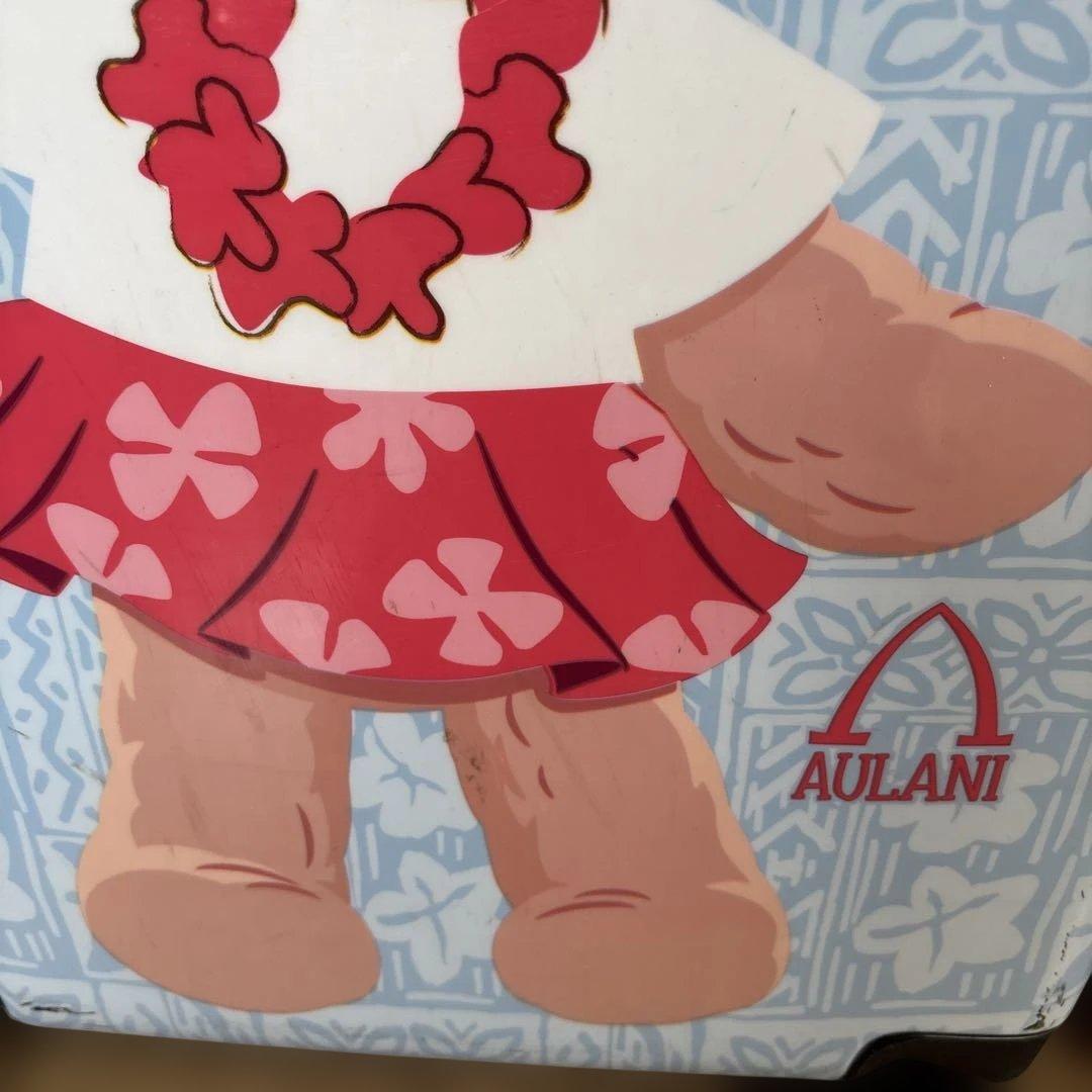 ダッフィー、ミッキーアウラニキャリーケース