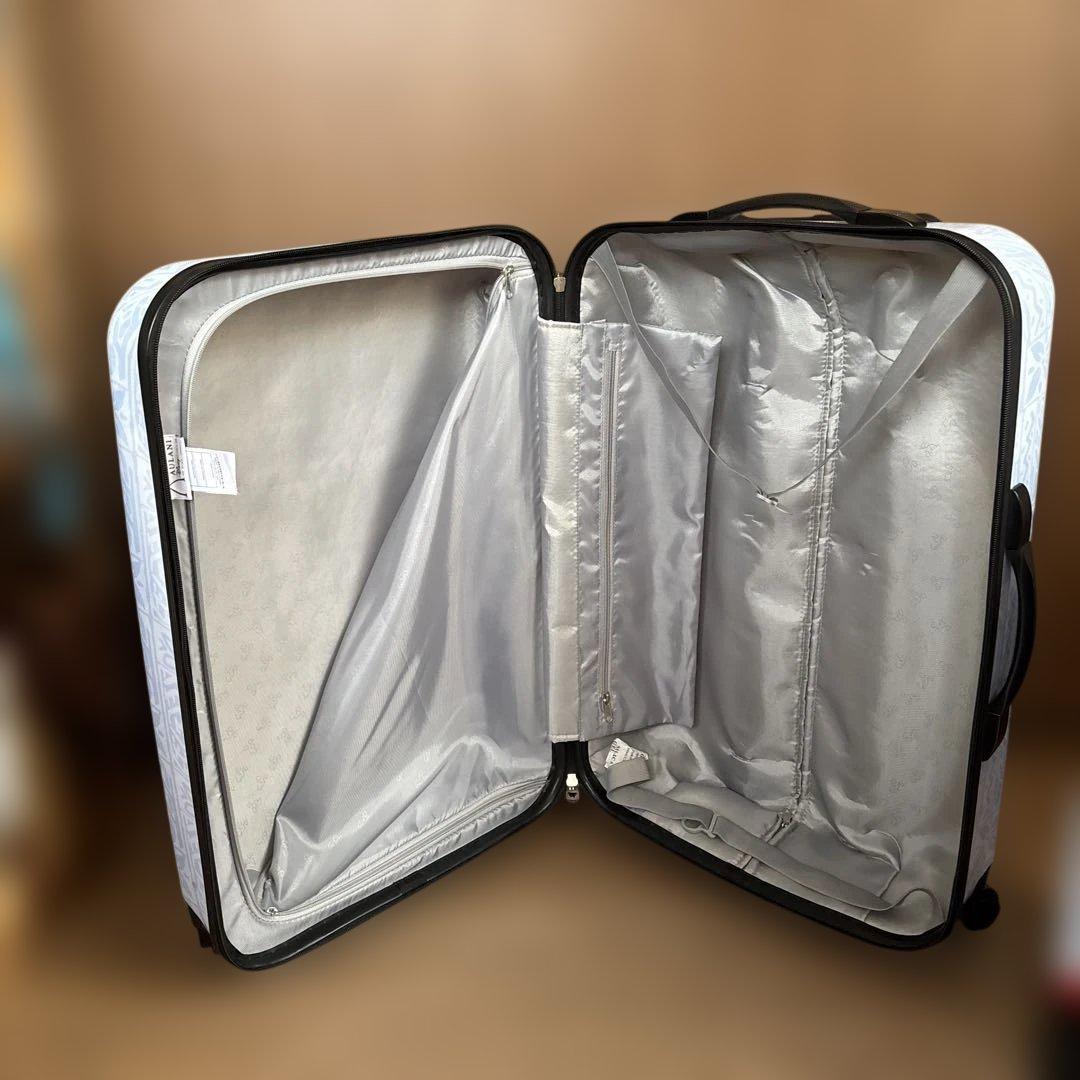 ダッフィー、ミッキーアウラニキャリーケース