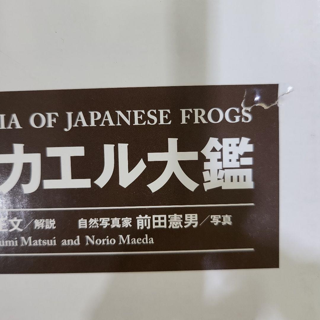 日本産カエル大鑑　文一総合出版　ケース付き　9784829988435