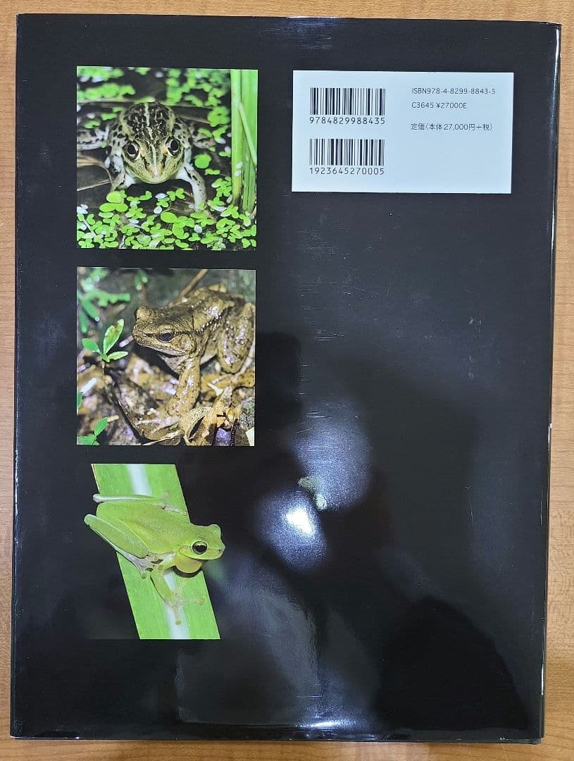 日本産カエル大鑑　文一総合出版　ケース付き　9784829988435