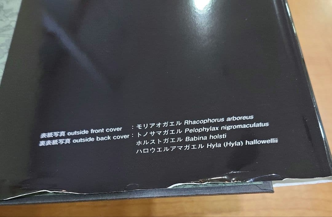 日本産カエル大鑑　文一総合出版　ケース付き　9784829988435