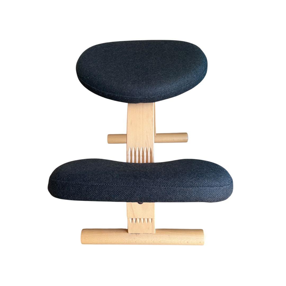 バランスイージー 通常フレーム バランスチェア リボ社 腰痛対策 椅子