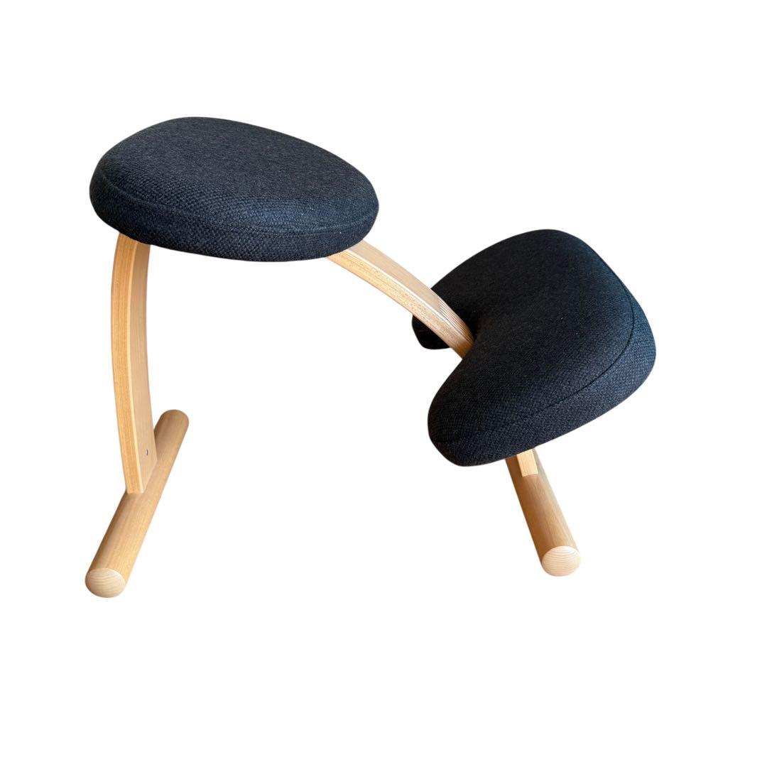 バランスイージー 通常フレーム バランスチェア リボ社 腰痛対策 椅子