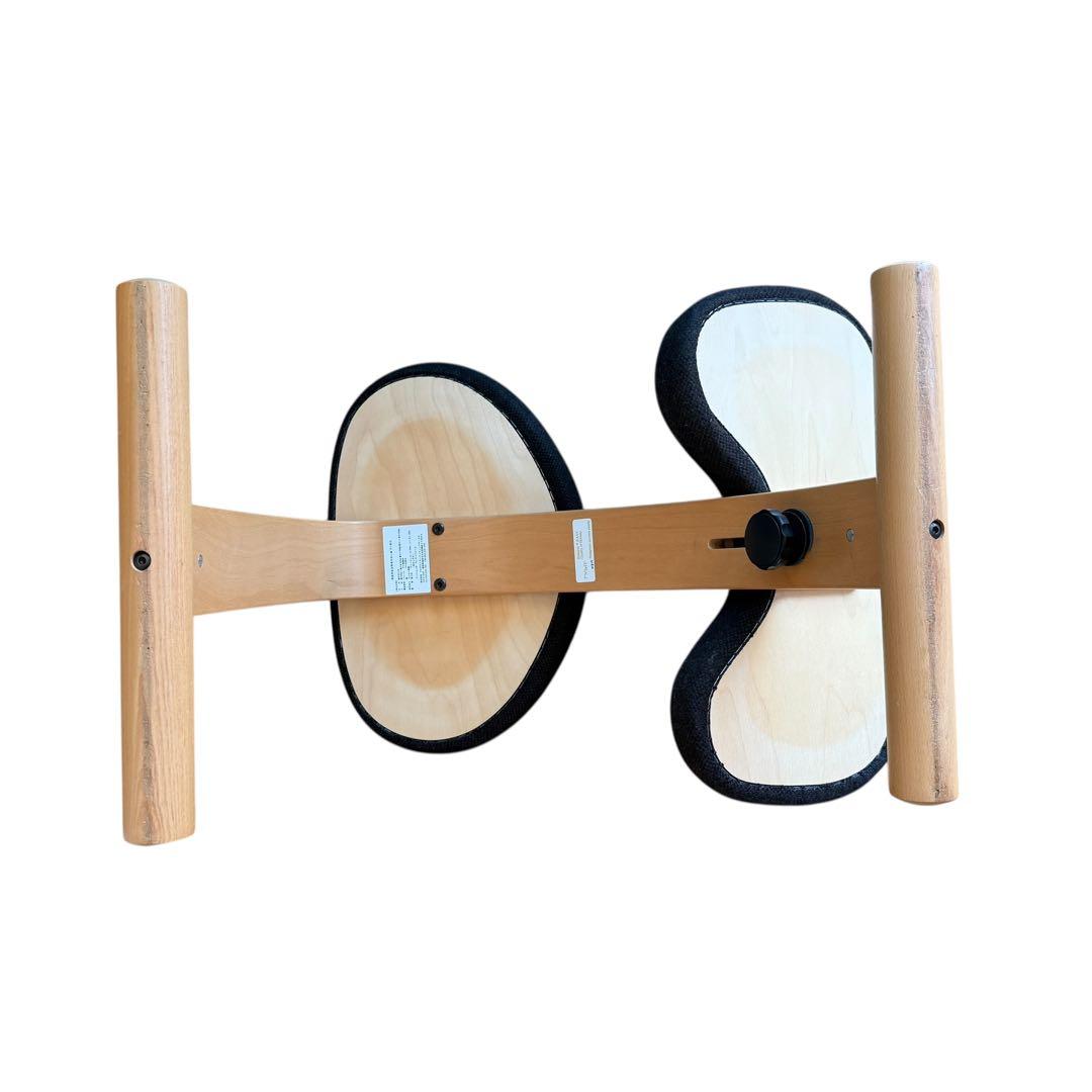 バランスイージー 通常フレーム バランスチェア リボ社 腰痛対策 椅子