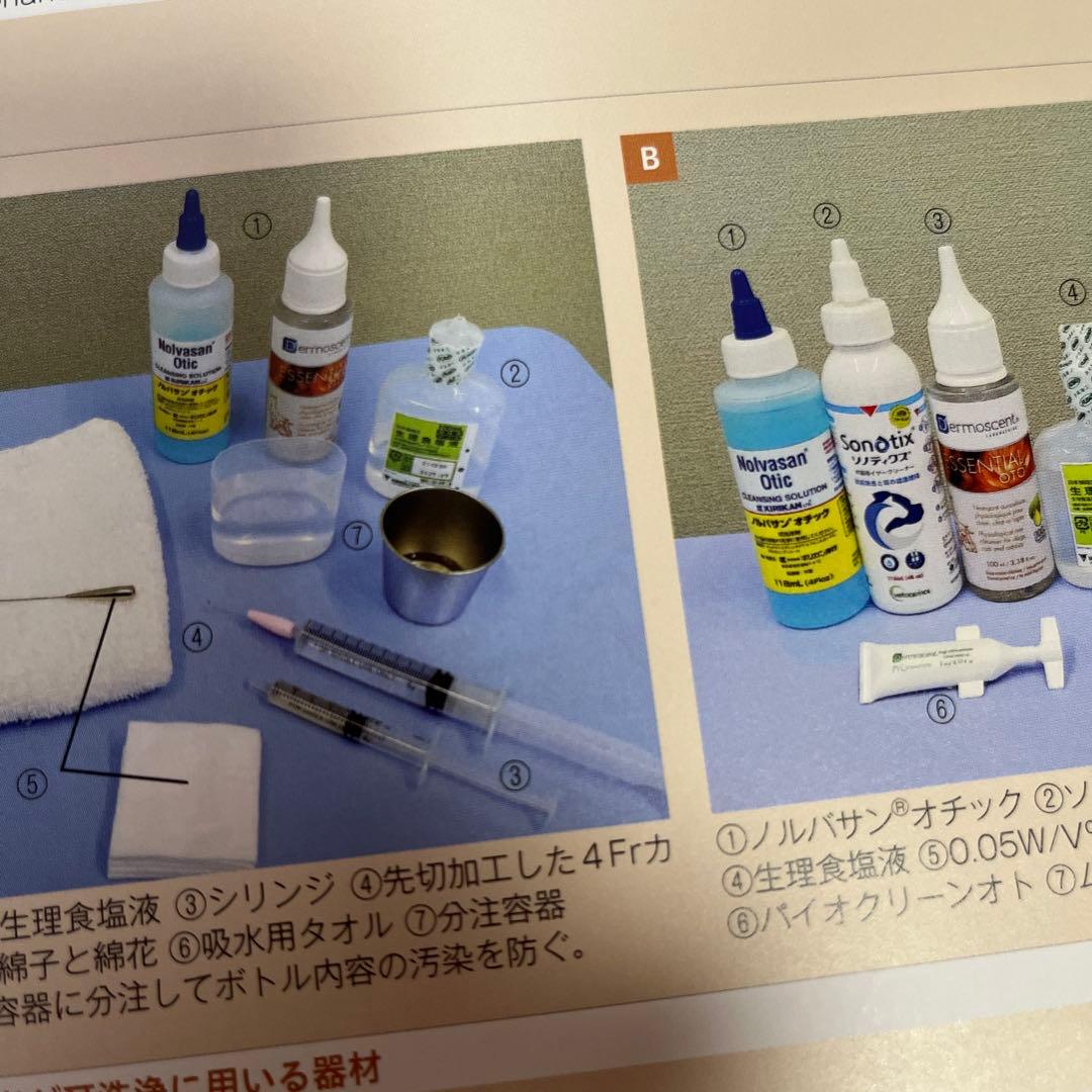 【裁断済】犬と猫 耳の診察前にまず読む本