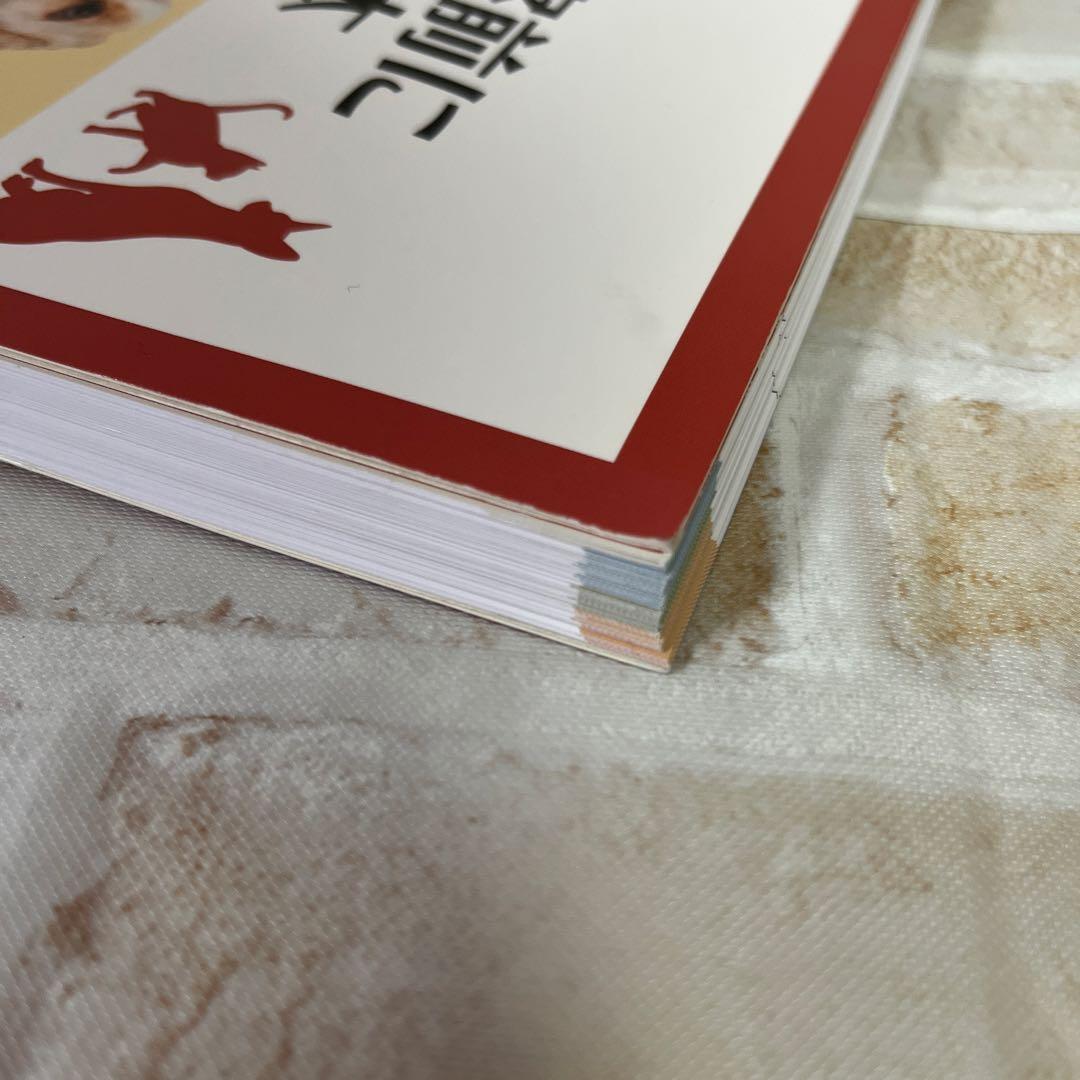 【裁断済】犬と猫 耳の診察前にまず読む本