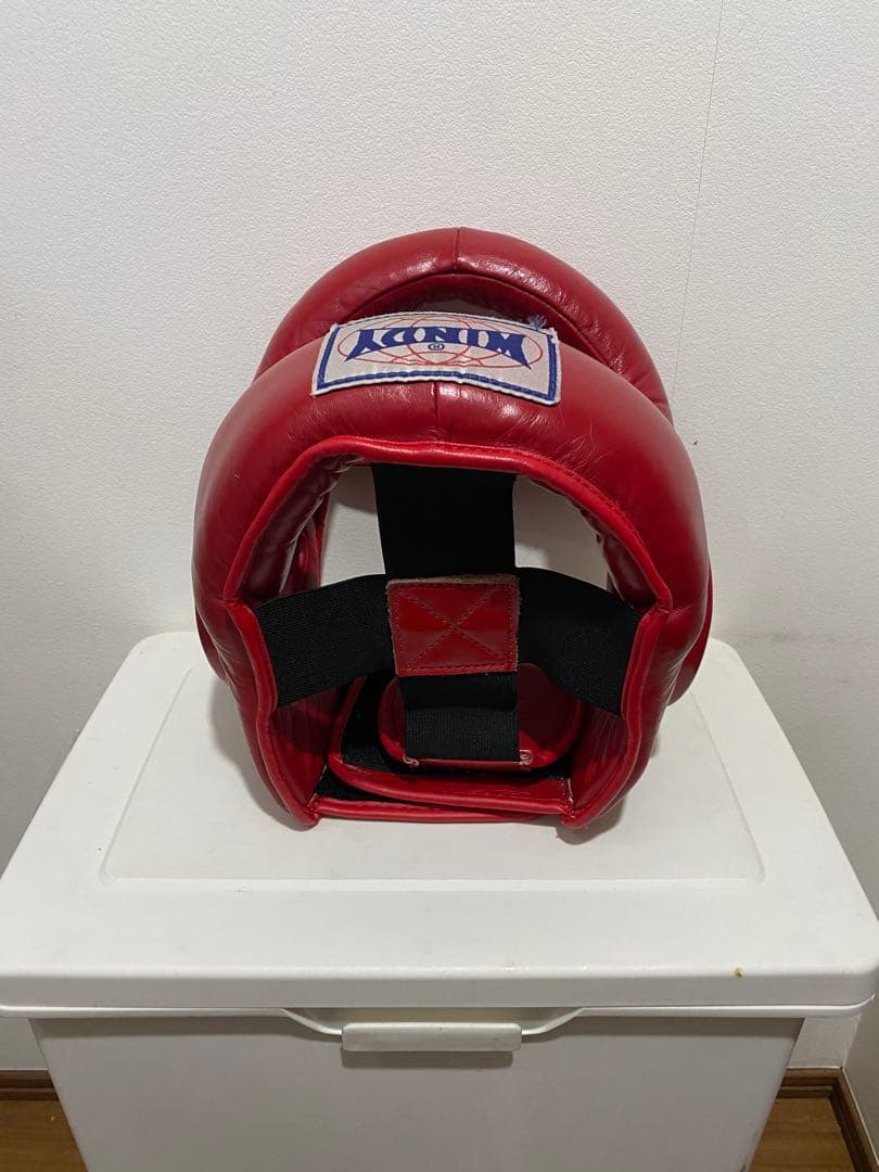 windy フルフェイスヘッドギア