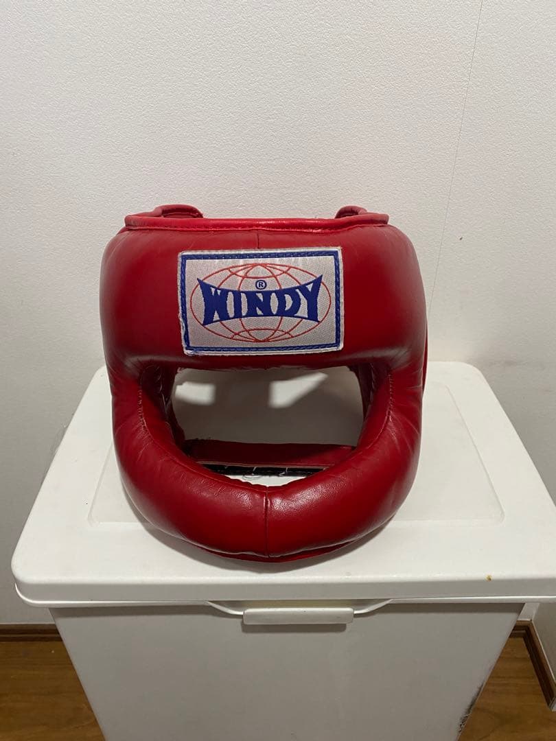 windy フルフェイスヘッドギア