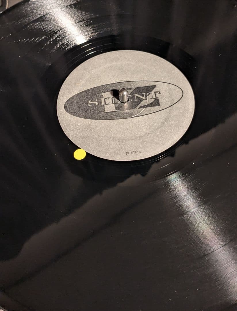 洋楽 SILENT 1Z/They Want Me Dead