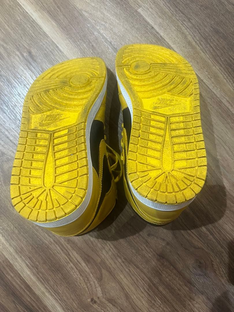 NIKE エアジョーダンワン パラン