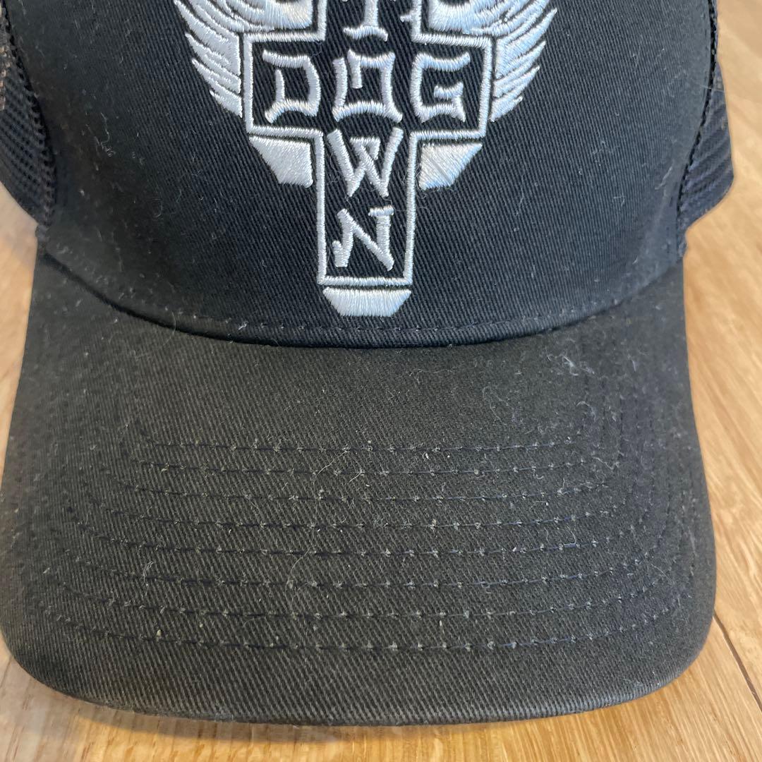 adidas Lords of Dogtown メッシュキャップ