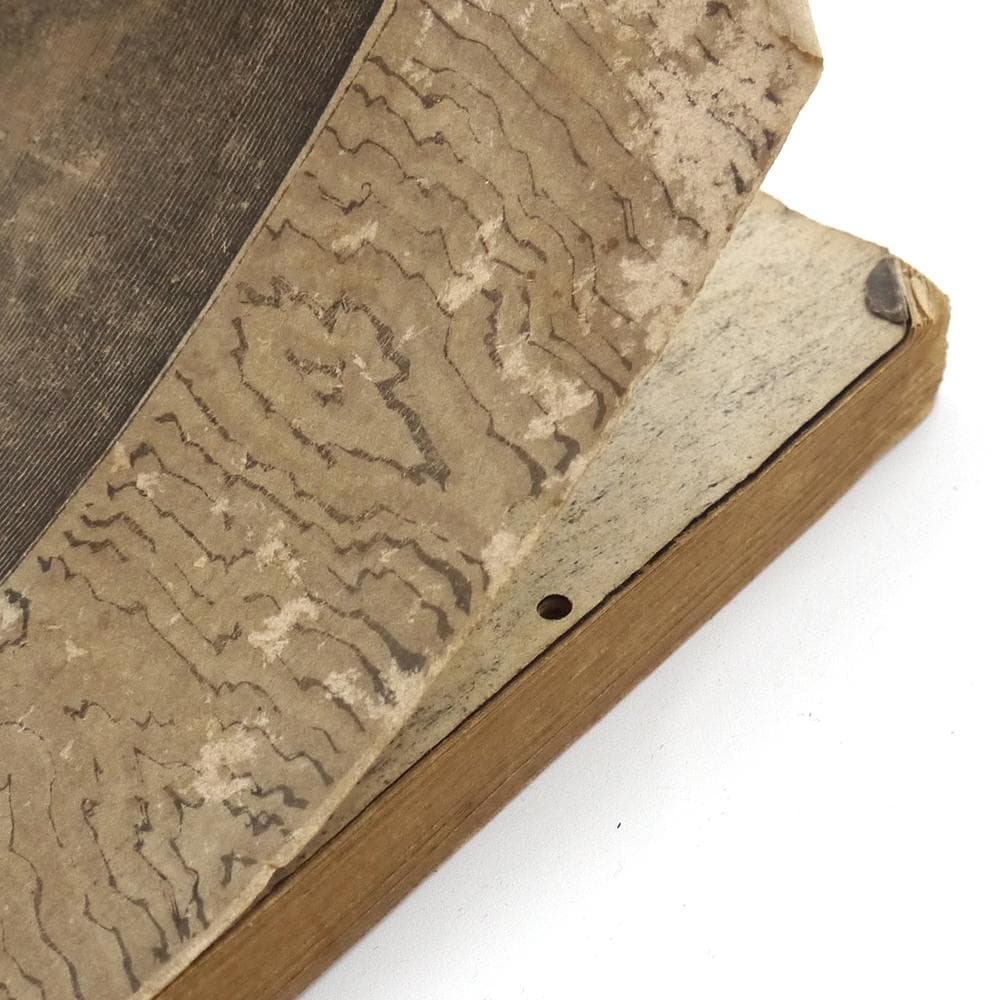 ※稀覯※　抱一庵主人　明治二十四年　初版　【 闇中政治家 】　原抱一庵　春陽堂