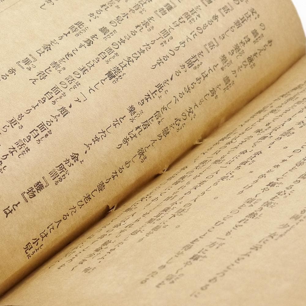 ※稀覯※　抱一庵主人　明治二十四年　初版　【 闇中政治家 】　原抱一庵　春陽堂