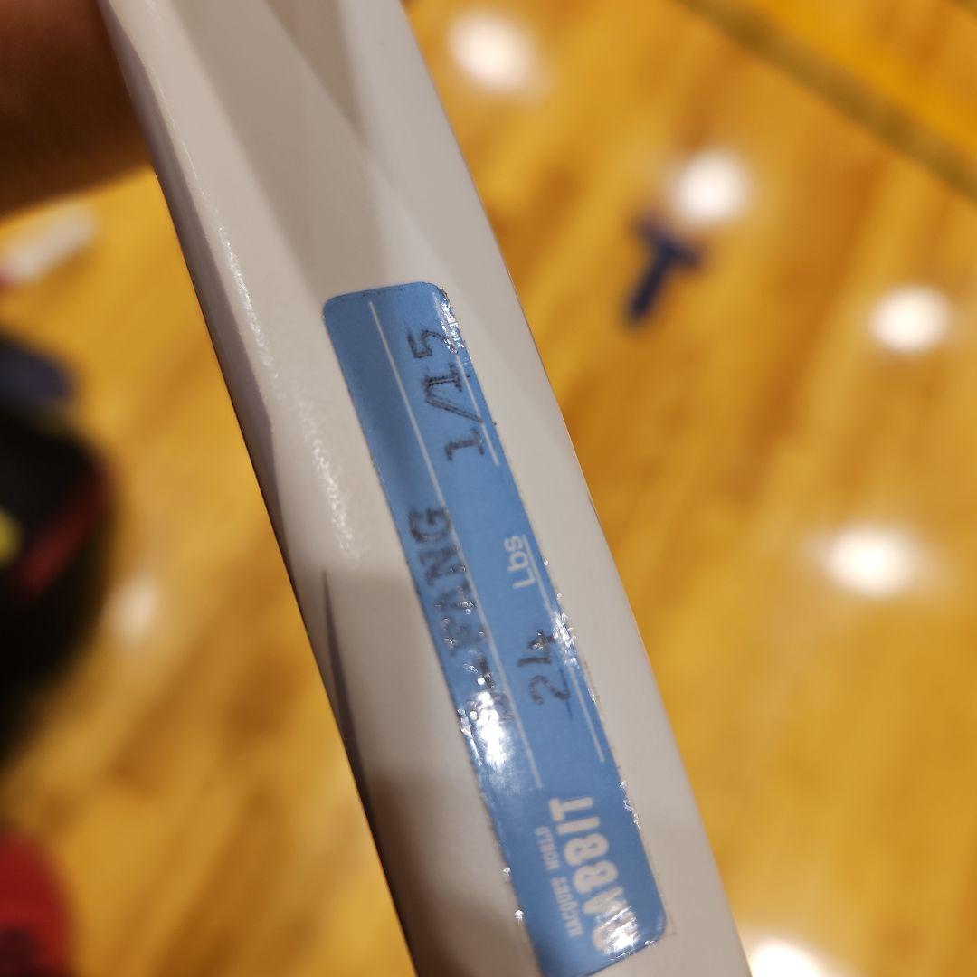 最終価値　ボルトレイジ 5V