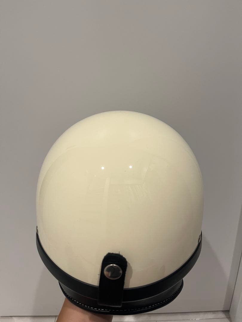 オーシャンビートル　ショーティー　L