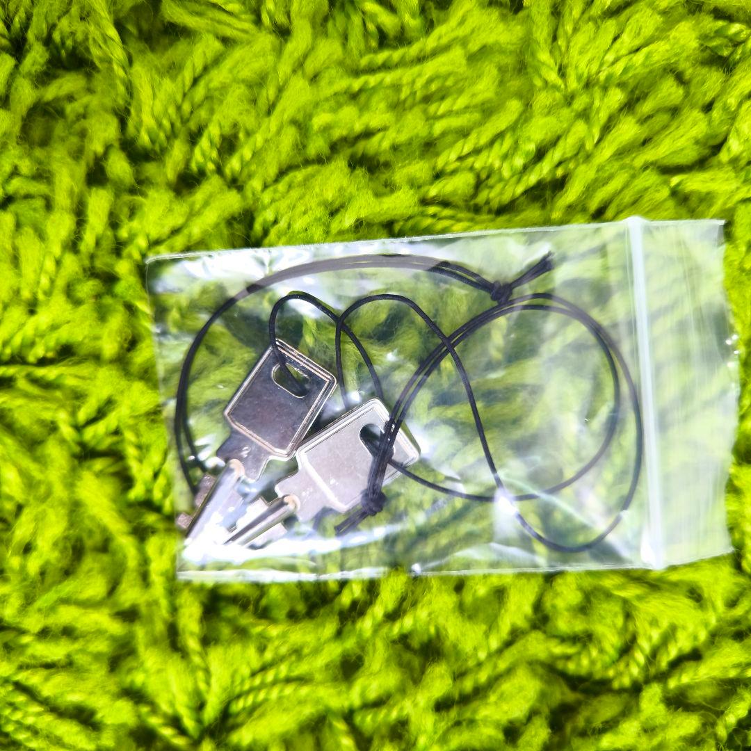 東洋楽器　プリュームファイバーケース プラチナワイン バイオリンケース