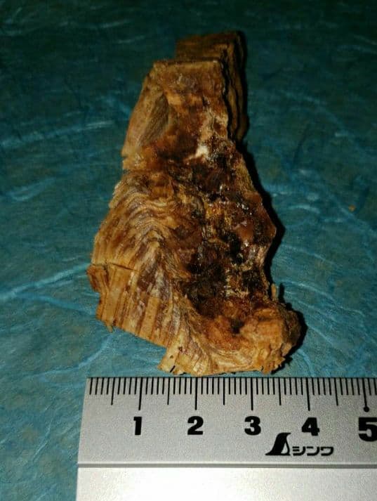 58 伽羅、六国五味、聞香、香木、沈香「ブルー白檀根瘤14,6g」