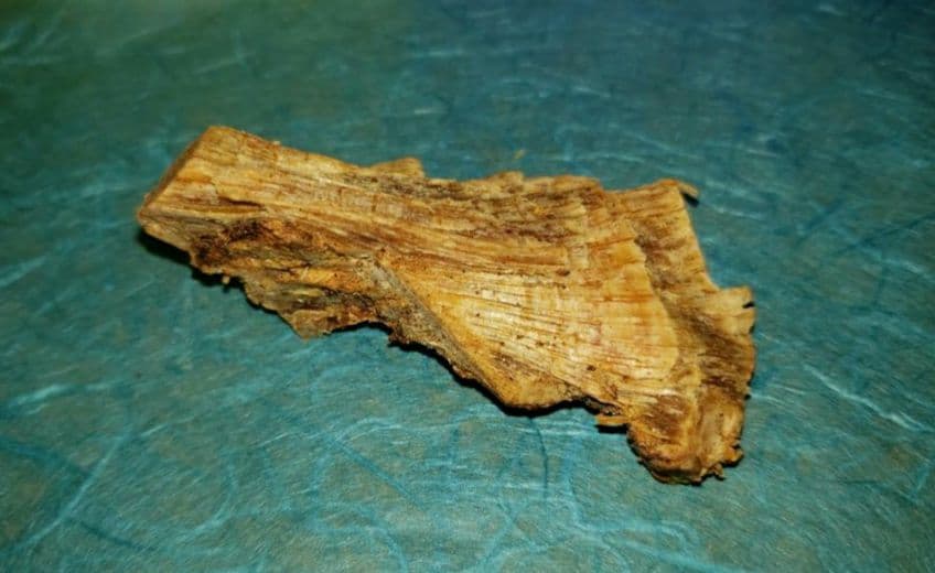 58 伽羅、六国五味、聞香、香木、沈香「ブルー白檀根瘤14,6g」