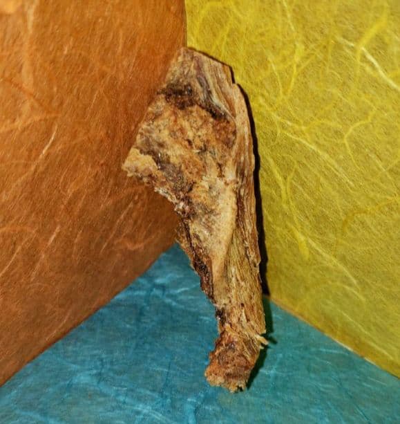 58 伽羅、六国五味、聞香、香木、沈香「ブルー白檀根瘤14,6g」