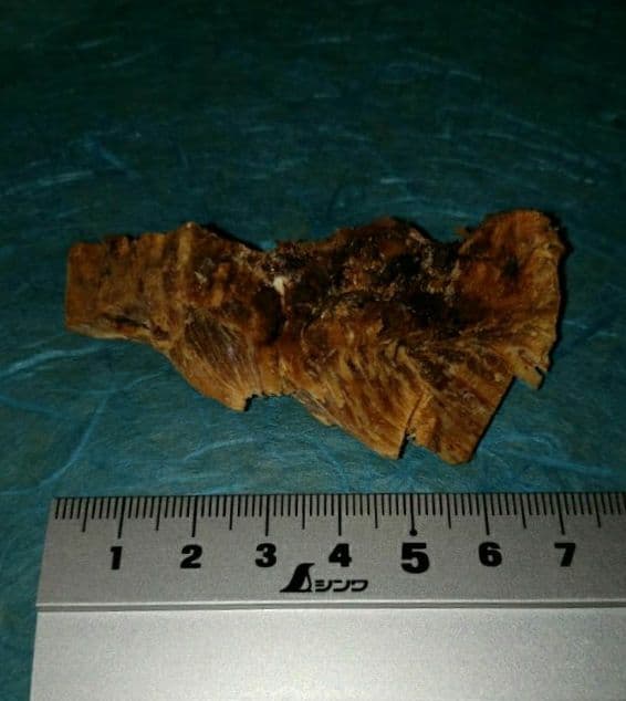 58 伽羅、六国五味、聞香、香木、沈香「ブルー白檀根瘤14,6g」