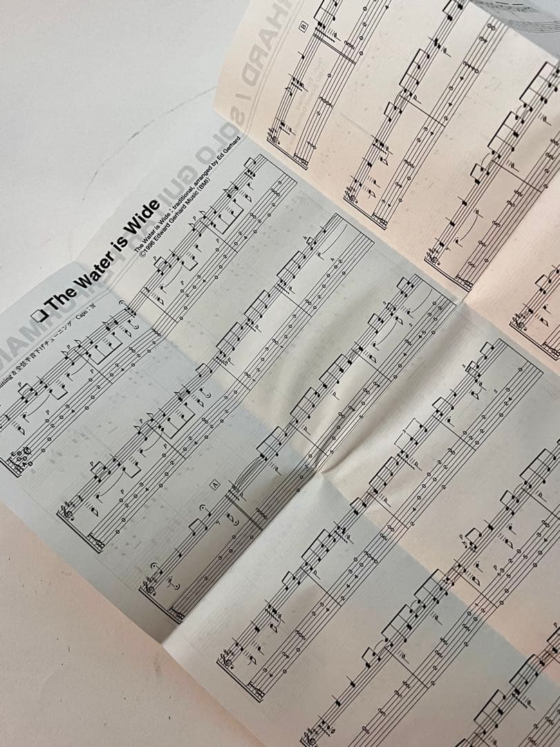 廃番DVD エド・ガーハード／ソロ・ギター・パフォーマンス　Ed Gerhard