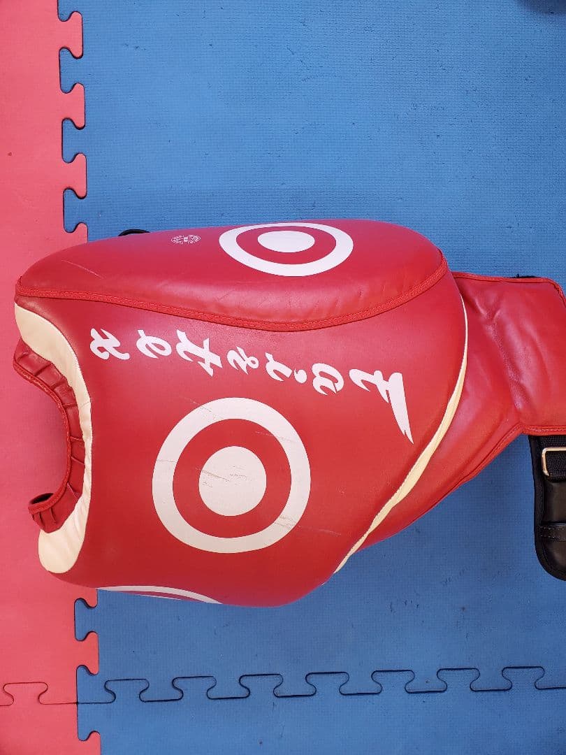 Fairtex 赤 ローキックパッド　右足のみ