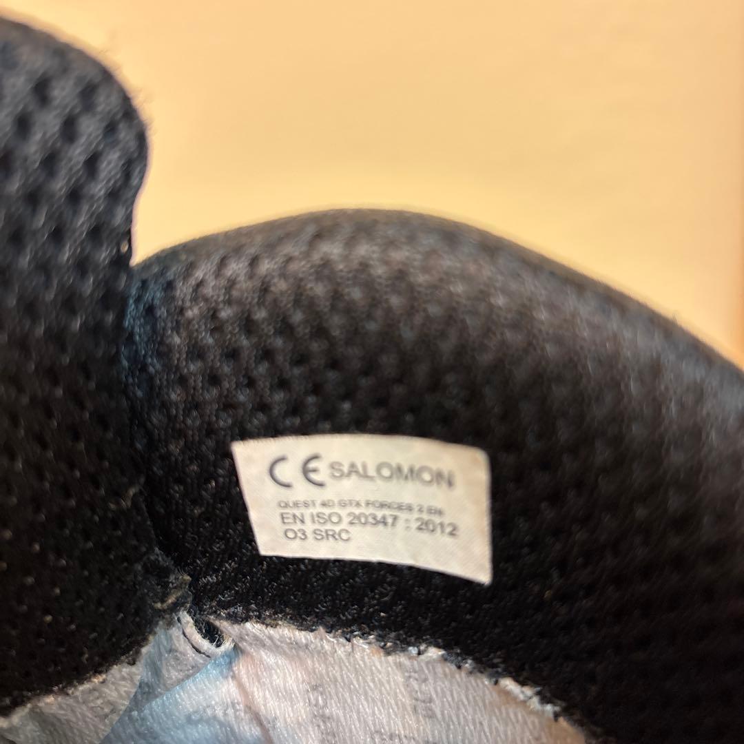 サロモン　QUEST 4D Gore-Tex® FORCES 2 EN 黒