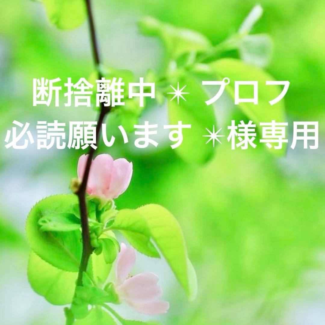 断捨離中 ✴︎ プロフ必読願います ✴︎です。