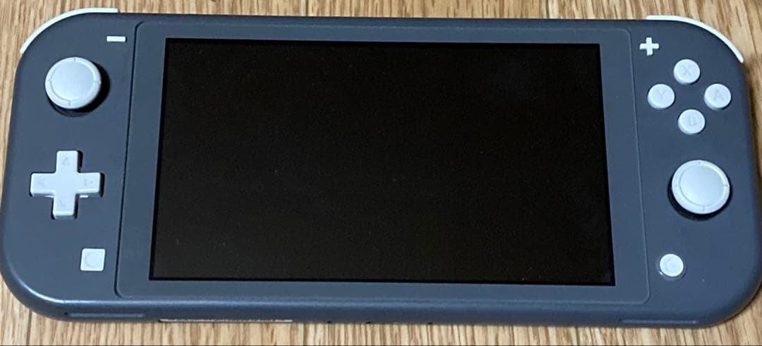Nintendo Switch Lite グレー アダプターと箱有