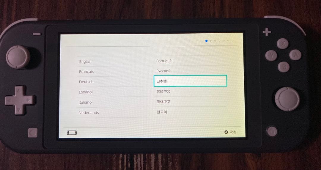 Nintendo Switch Lite グレー アダプターと箱有