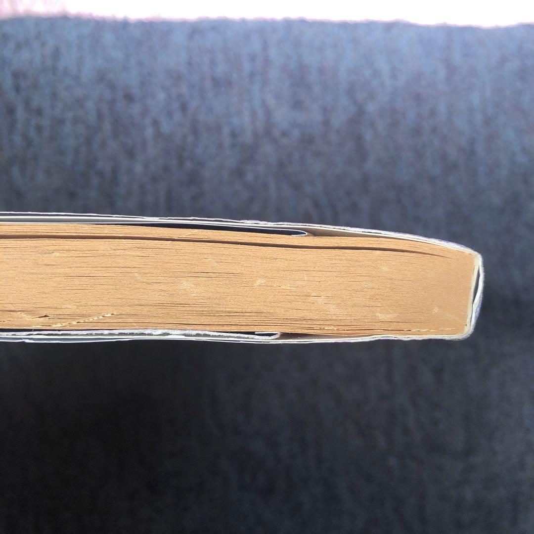 【レア】1st edition グースバンプス #8 図書館の怪人 初版本