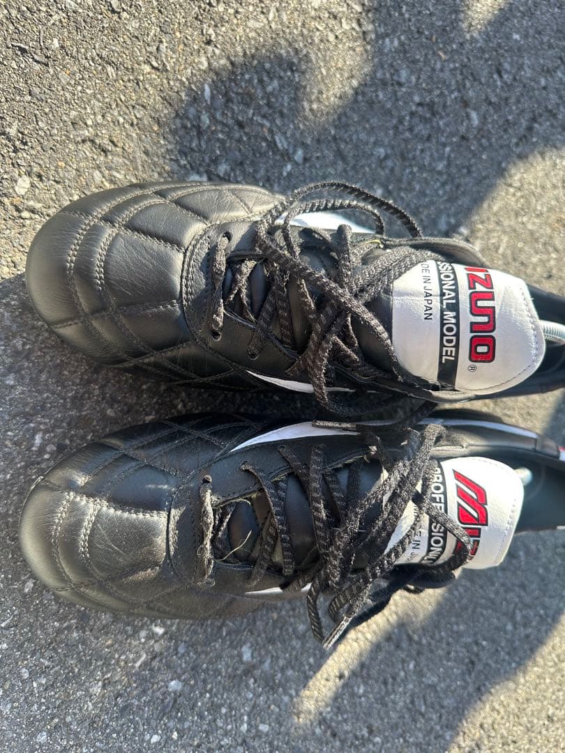 MOLERIA Ⅱ JAPAN 27cm クロスステッチ