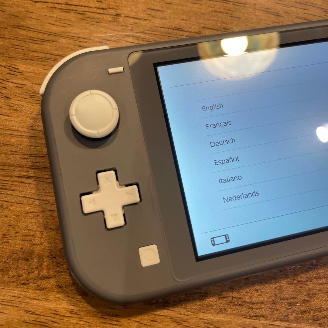 Nintendo Switch Lite グレー 透明ケース付き