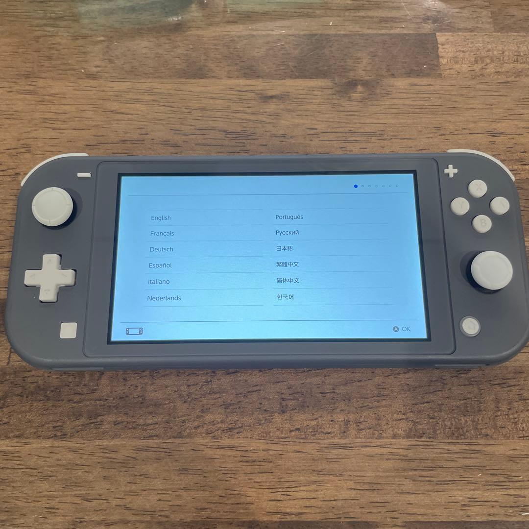 Nintendo Switch Lite グレー 透明ケース付き
