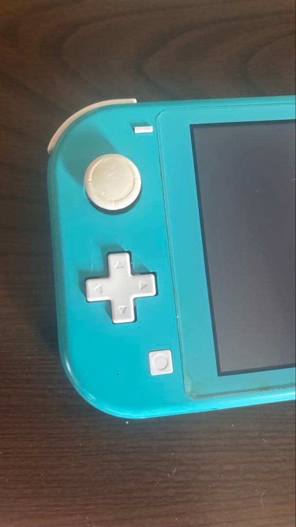 Nintendo Switch Lite ターコイズ ケース付き 動作確認済み