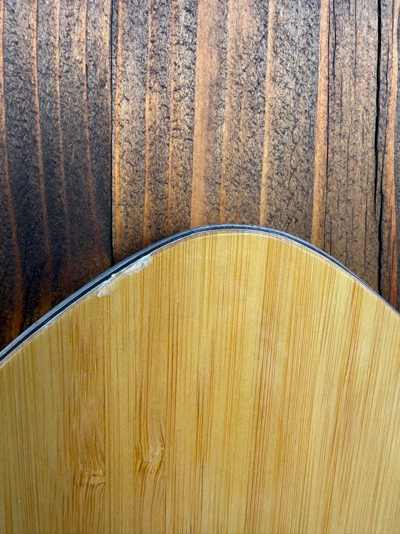 gentenstick Flyfisk ゲンテンスティック フライフィスク