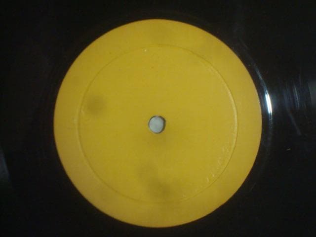 洋楽 LIVE ON BLUEBERRY HILL / LED ZEPPELIN