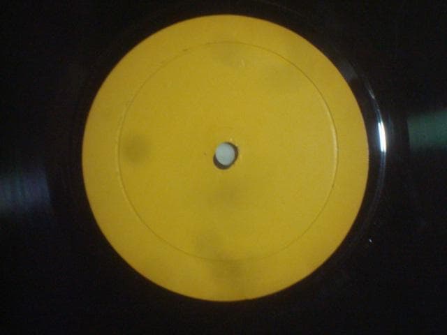 洋楽 LIVE ON BLUEBERRY HILL / LED ZEPPELIN