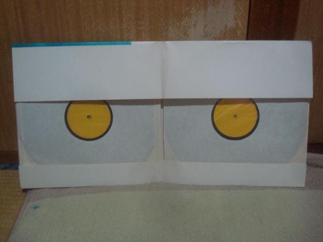 洋楽 LIVE ON BLUEBERRY HILL / LED ZEPPELIN